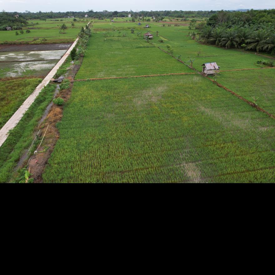Wilayah Desa Olong Pinang